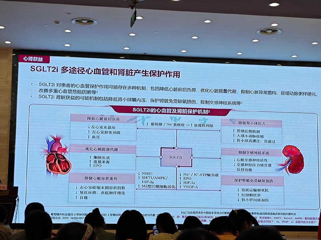 研究证实糖尿病治疗药物Ozempic与罕见失明症风险有关