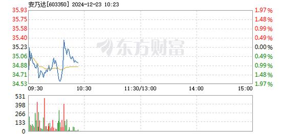 安乃达12月24日涨停分析